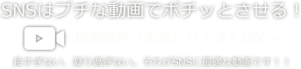 SNSはプチな動画でポチッとさせる！動画制作　1本あたり　0,000円～ 長すぎない、凝りすぎない。それがSNSに最適な動画です!!